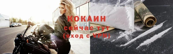 индика Надым