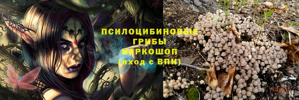 ГАЛЛЮЦИНОГЕННЫЕ ГРИБЫ Апатиты