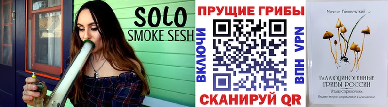 Псилоцибиновые грибы Psilocybine cubensis  ОМГ ОМГ   Новая Усмань 